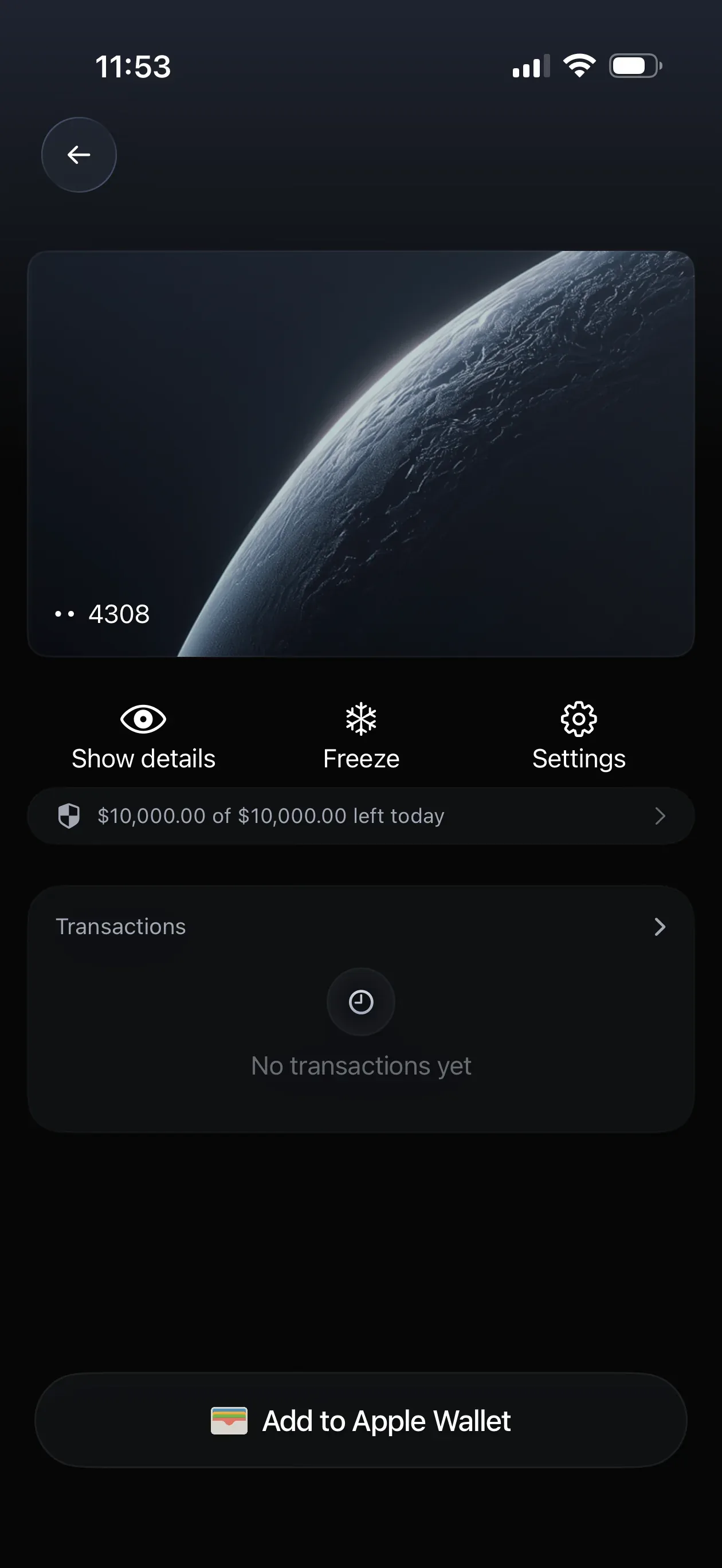 Ethena Pay card dashboard with card controls, remaining daily limit, transaction history, and Apple Wallet setup