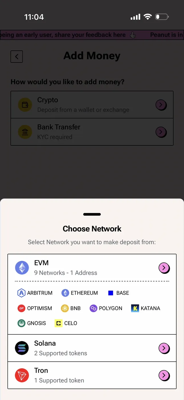 Peanut Add Money screen showing network selection: EVM with 9 networks on one address including Arbitrum, Ethereum, Base, Optimism, BNB, Polygon, Katana, Gnosis and Celo, plus Solana and Tron
