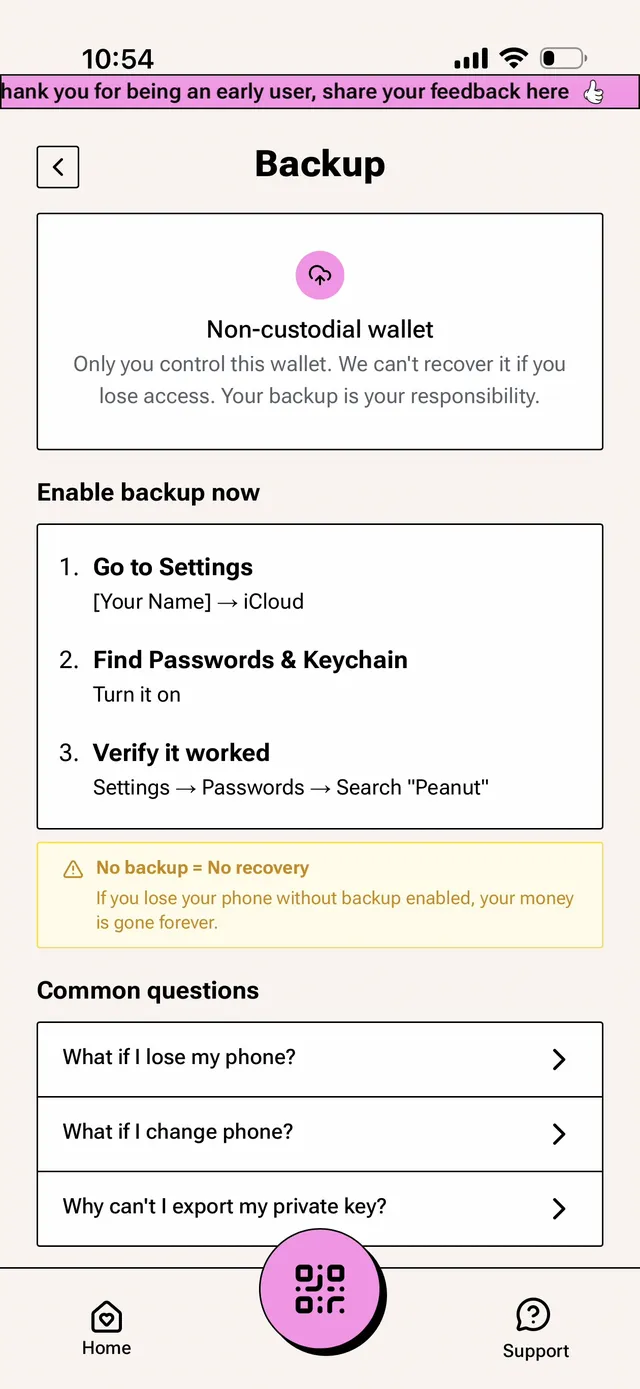 Peanut backup screen stating non-custodial wallet, only you control this wallet, we can't recover it if you lose access, with iCloud passkey backup steps and a warning that no backup means no recovery